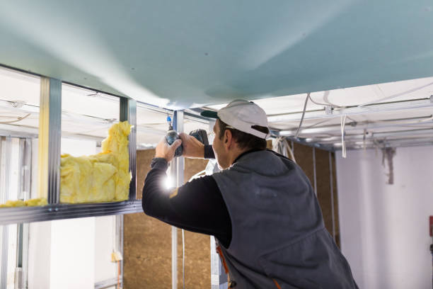 Best Energy Efficiency Solutions in Glespie, IL