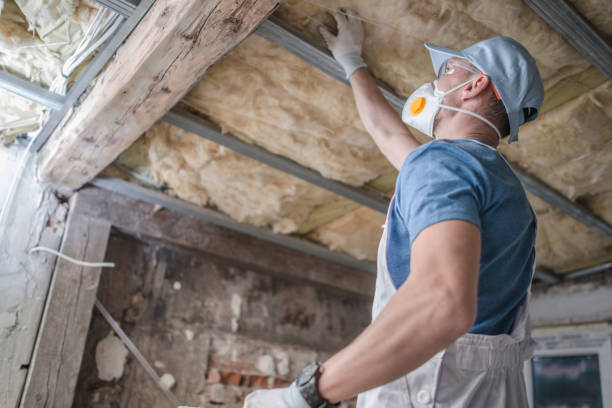 Best Energy Efficiency Solutions in Glespie, IL